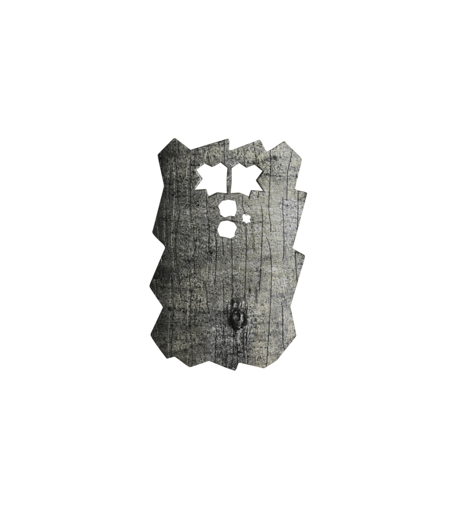 Coque avant pour DTC 460 - Version 3 (motif hêtre)