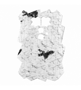 Coque avant pour DTC 460 - Version 2 (motif bouleau)