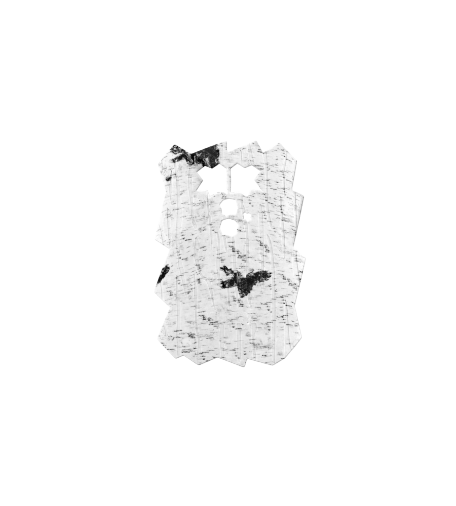 Frontblende für DTC 460 - Version 2 (Birke Design)