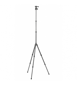 Carvao 816TC Carbon + rotule Black