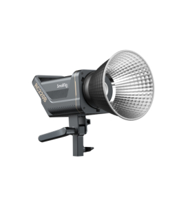 Lampes de studio LED RC220