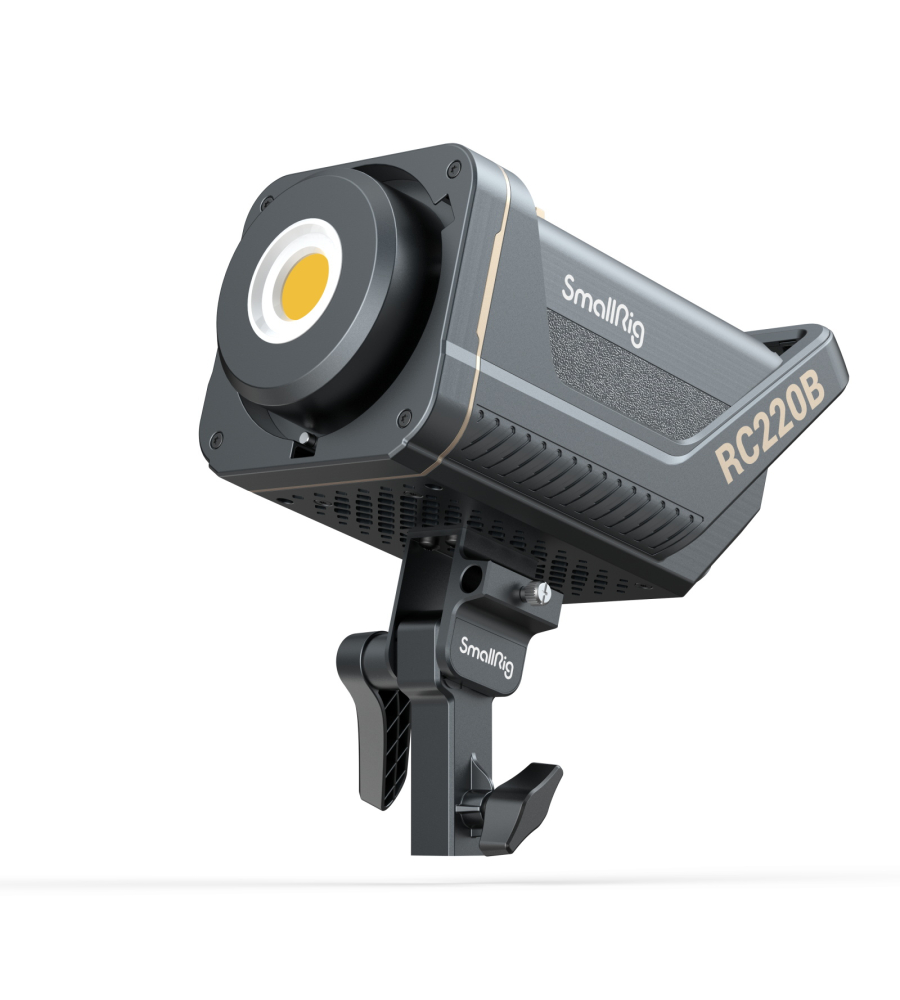 Lampes de studio LED RC220