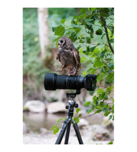 150-500mm F/5.6-7 Di III VC VXD Fuji X