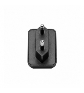 RC60B Fast Charger (EU standard) 4370