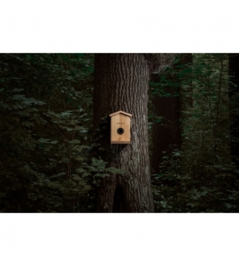 Camouflage EZ Nesteye