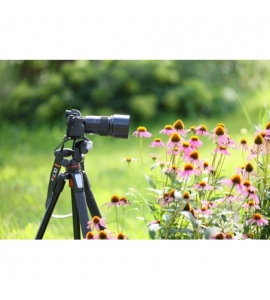 90mm F/2.8 Di III VC VXD MACRO Sony FE