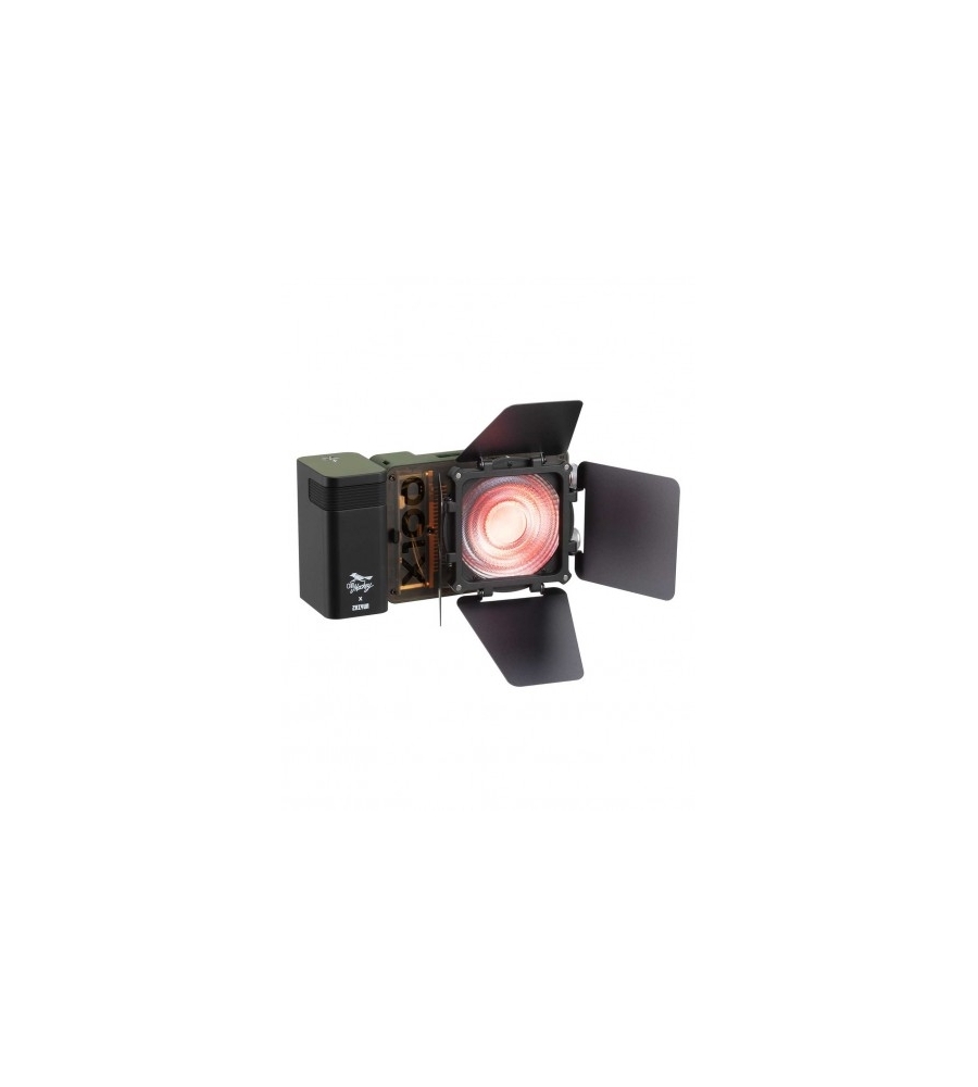 X100RGB Pro Green X100RGB Pro Green