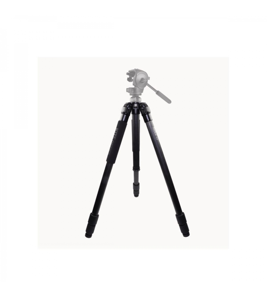 TRIPOD Ardea AL