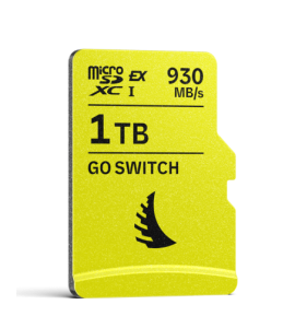 GO Switch microSD Express