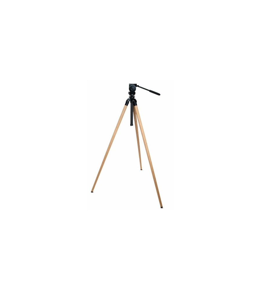 TRIPOD Ardea Oak