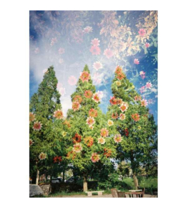 Kodak Snapic A1 Film Camera