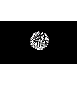 NANLITE Projection Attachment Bowens Mount