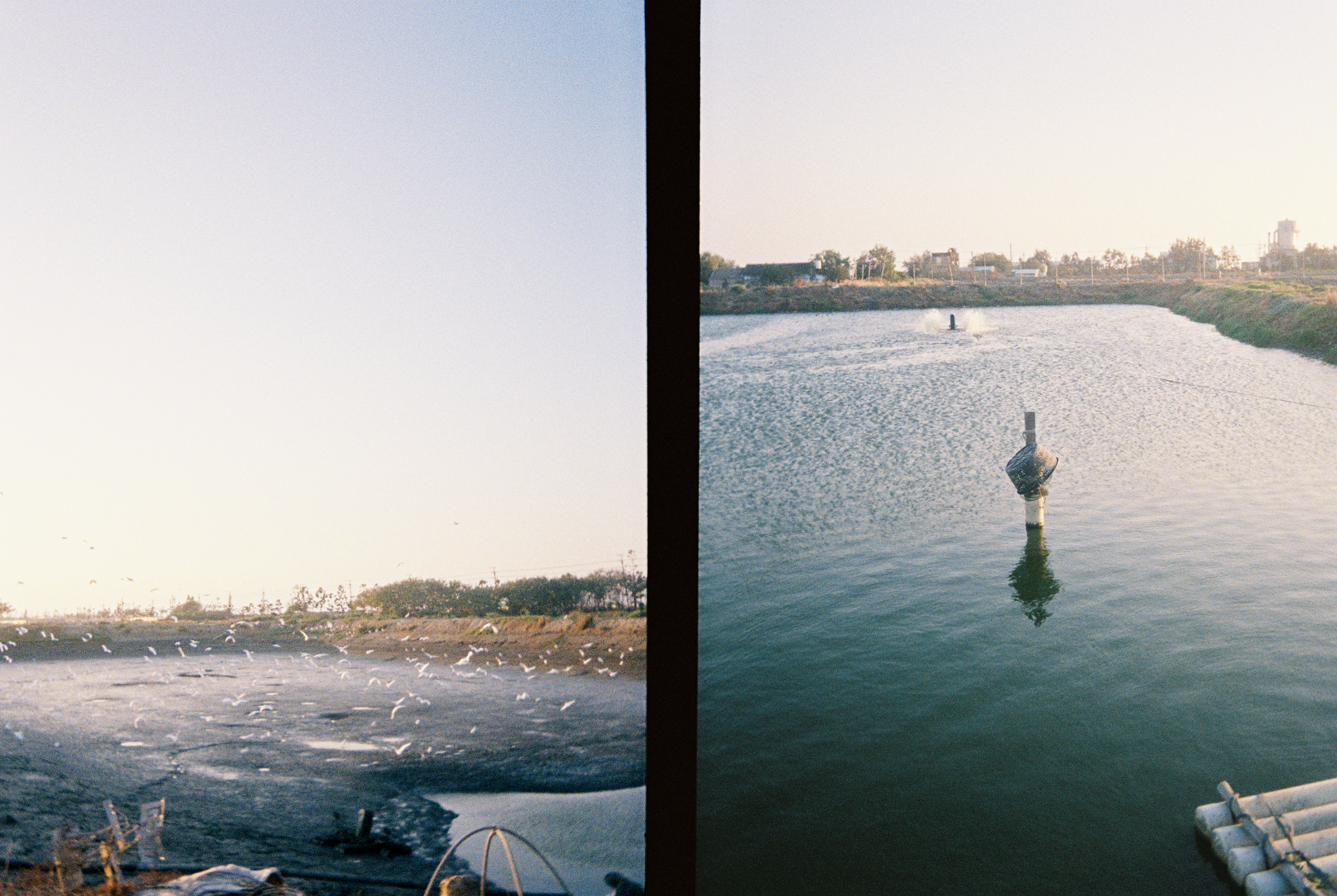 Kodak Ektar H35 Camera (Sage) + Kodak Ultra Max 24 Exp