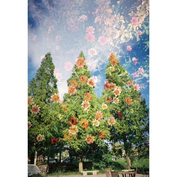 Kodak Snapic A1 Film Camera Ivory White