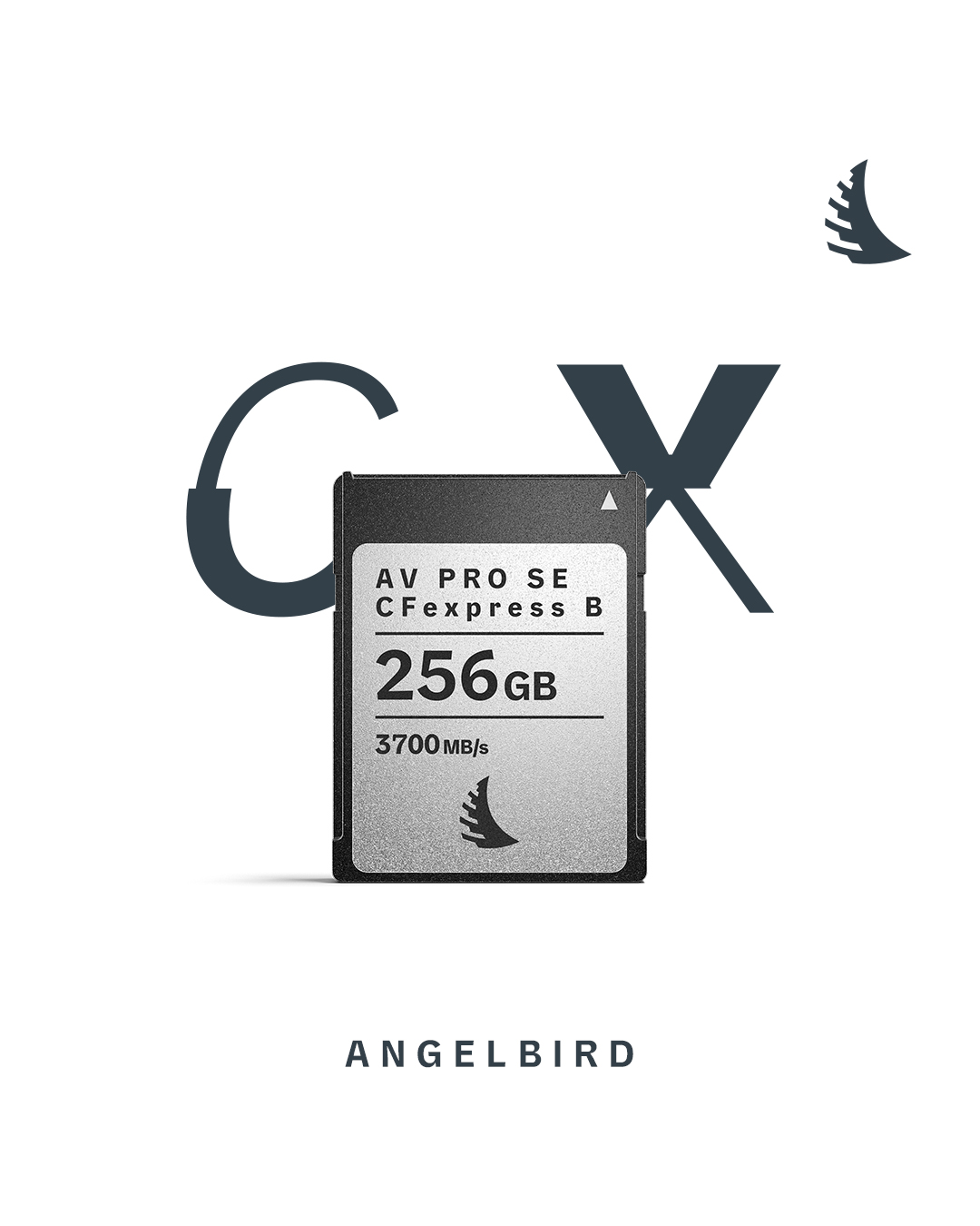 AV PRO SE CFexpress B v4 MK2 256GB