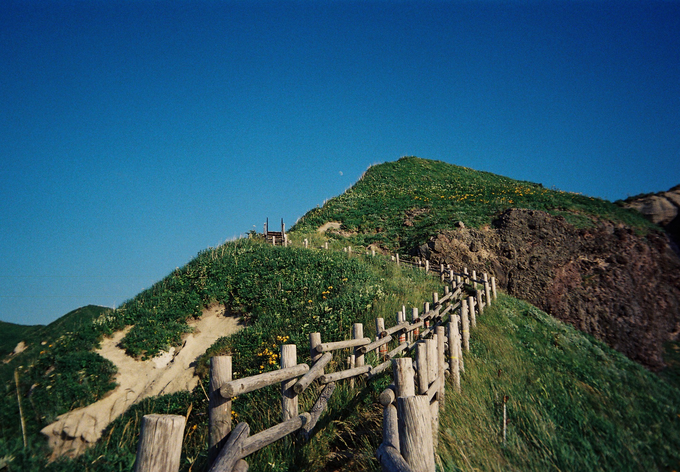 Kodak EC35 Film Camera (Blush Pink )+ Kodak Ultra Max 24 Exp