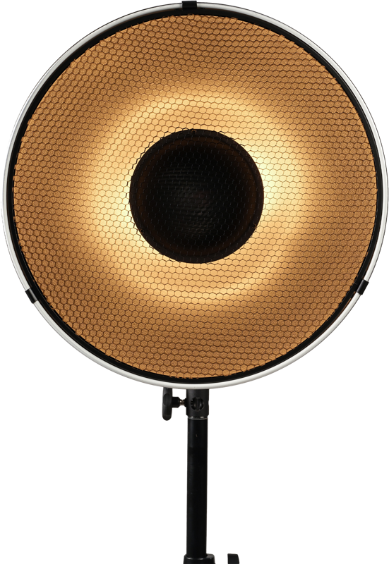 NANLITE Beauty Dish Reflector BM40