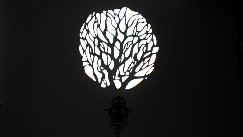 NANLITE Projection Attachment Bowens Mount w. 36°Lens