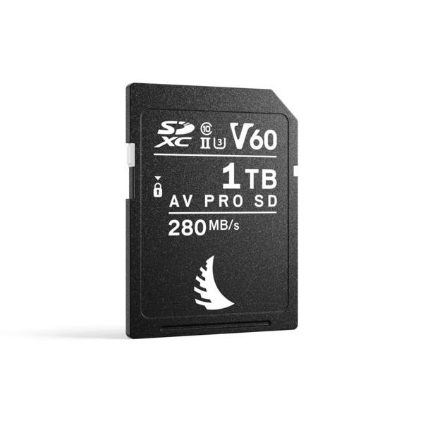 AV PRO SD V60 MK2 1TB | 1PACK