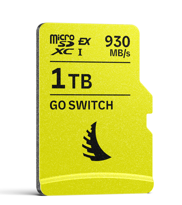 GO Switch MicroSD Express 1TB
