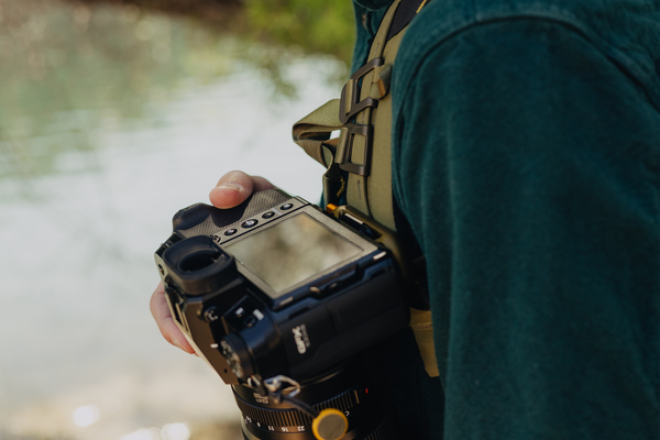 Capture® Clip&Plate v3 - Kelp