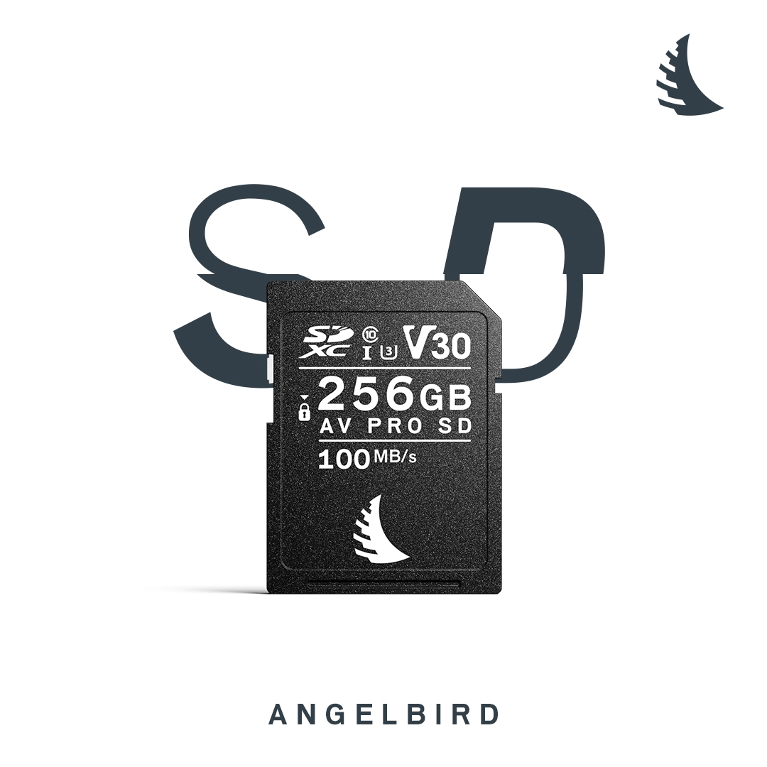 AV PRO SD V30 256GB