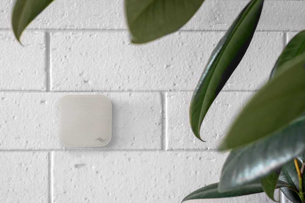 Wall Mount - Bone
