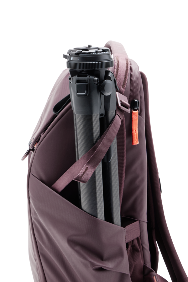 Everyday Backpack 20L - Eclipse