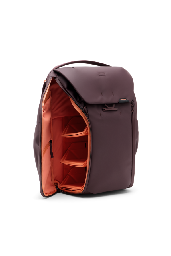 Everyday Backpack 20L - Eclipse
