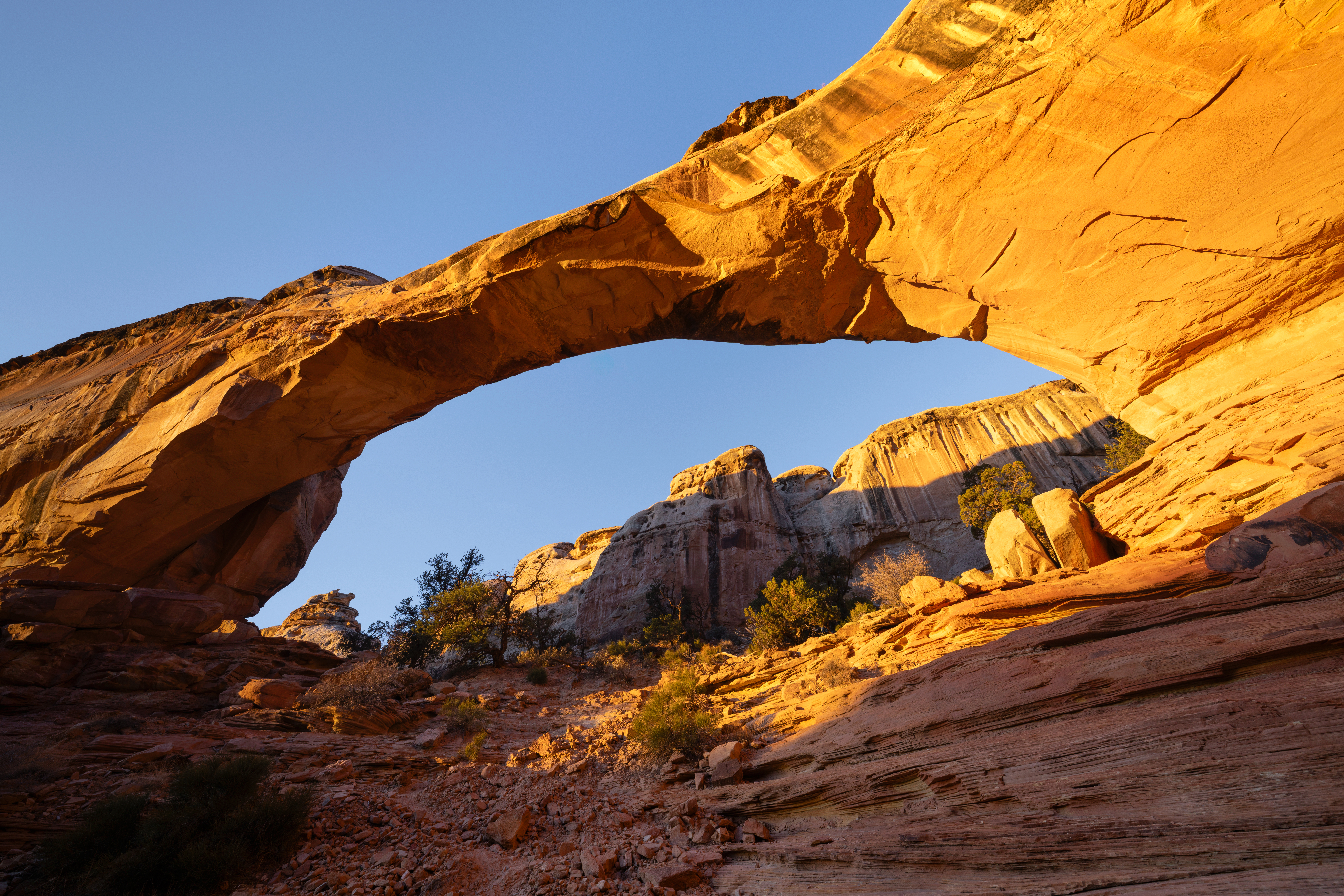 12-20mm F/2.8 Sony E