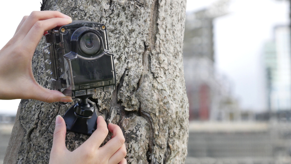 TLC2020 Time Lapse Camera with Waterproof Housing + Mount Bundle