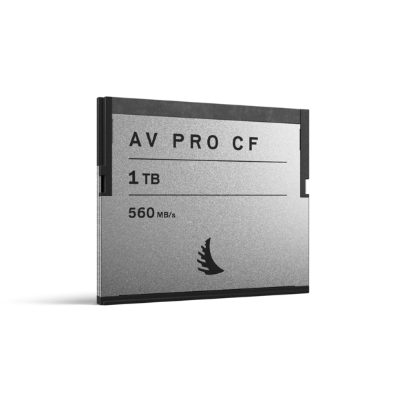 AV PRO CF 1TB