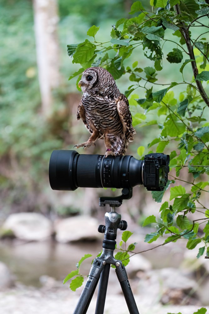 150-500mm F/5.6-7 Di III VC VXD Fuji X