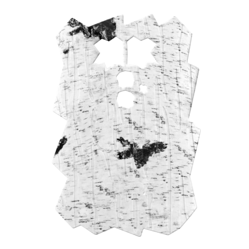 Frontblende für DTC 460 - Version 2 (Birke Design)