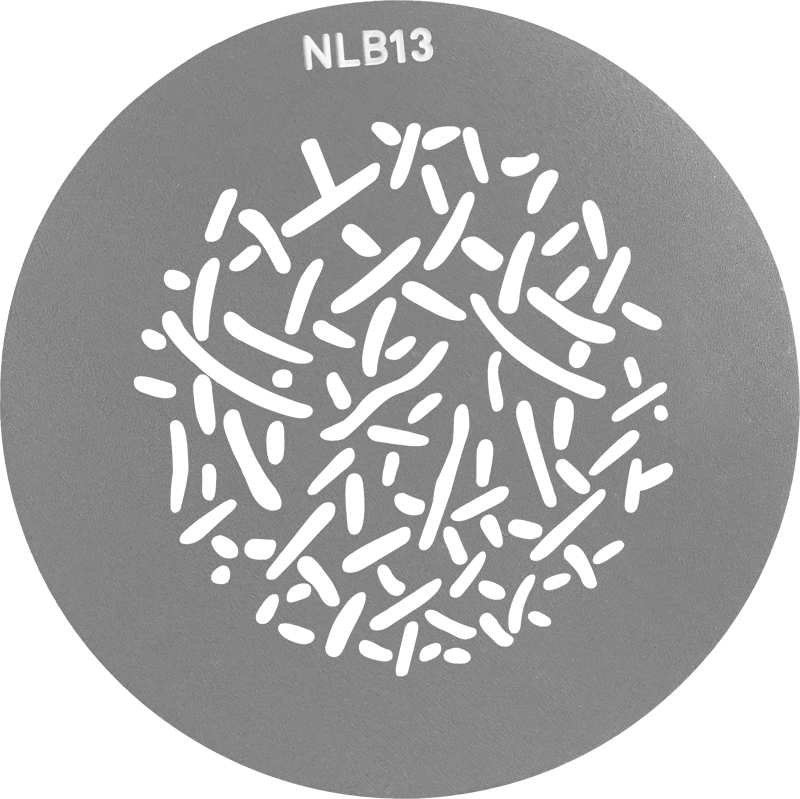 NANLITE GOBO Size B Set 1 (1 Set x 10pcs)