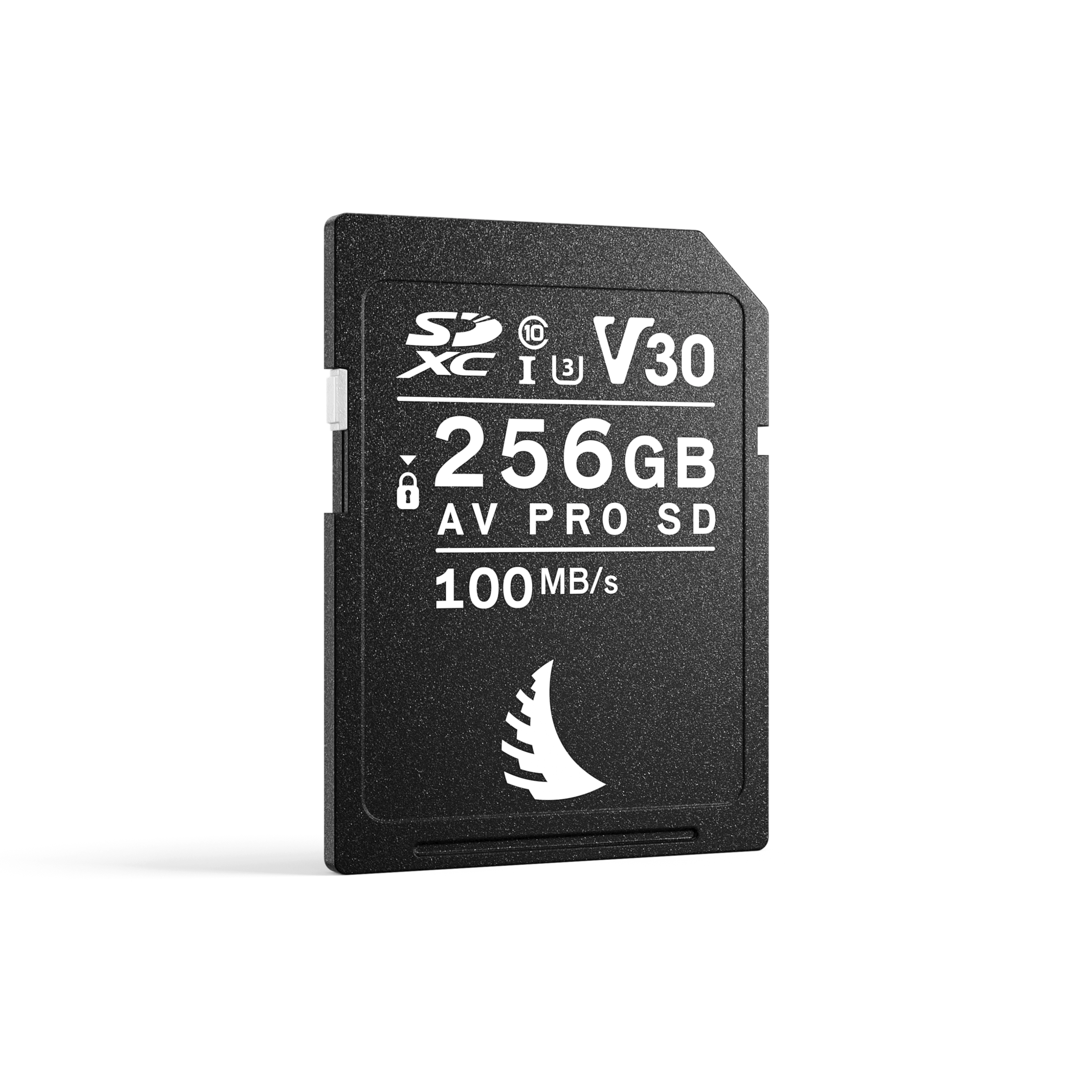 AV PRO SD V30 256GB