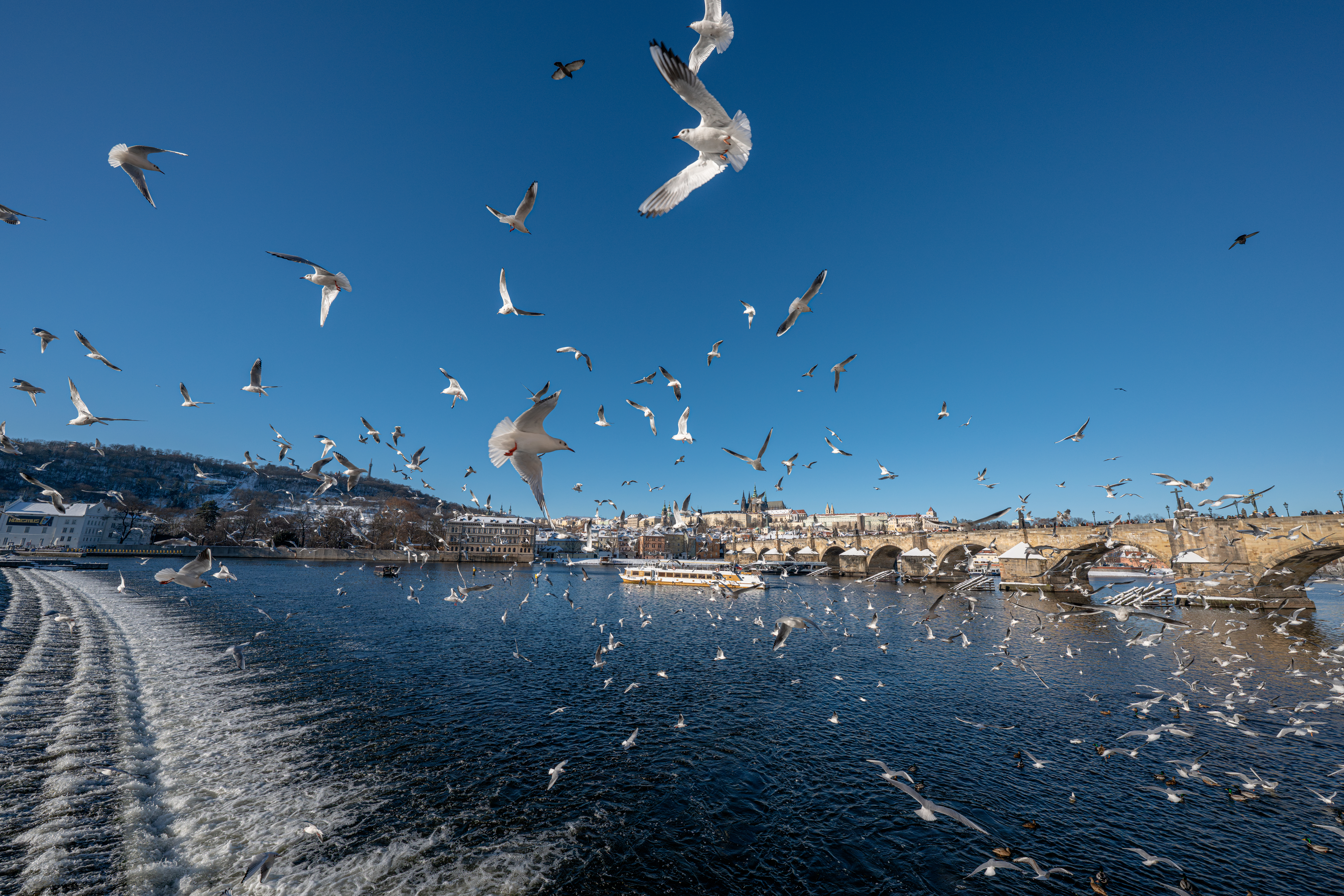 12-20mm F/2.8 Nikon Z