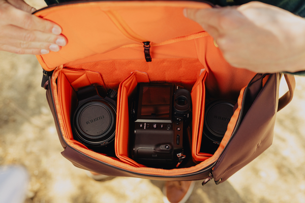 Everyday Backpack 20L - Eclipse