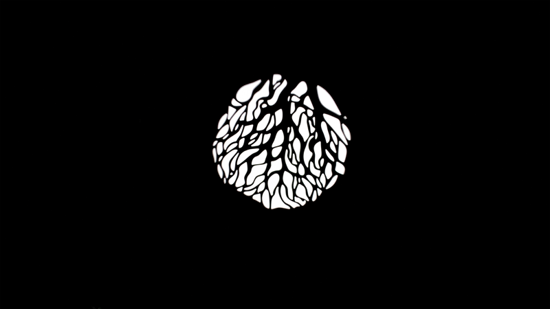 NANLITE Projection Attachment Bowens Mount w. 19°Lens