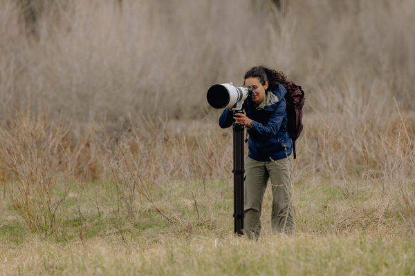 Pro Lite Tripod - Black