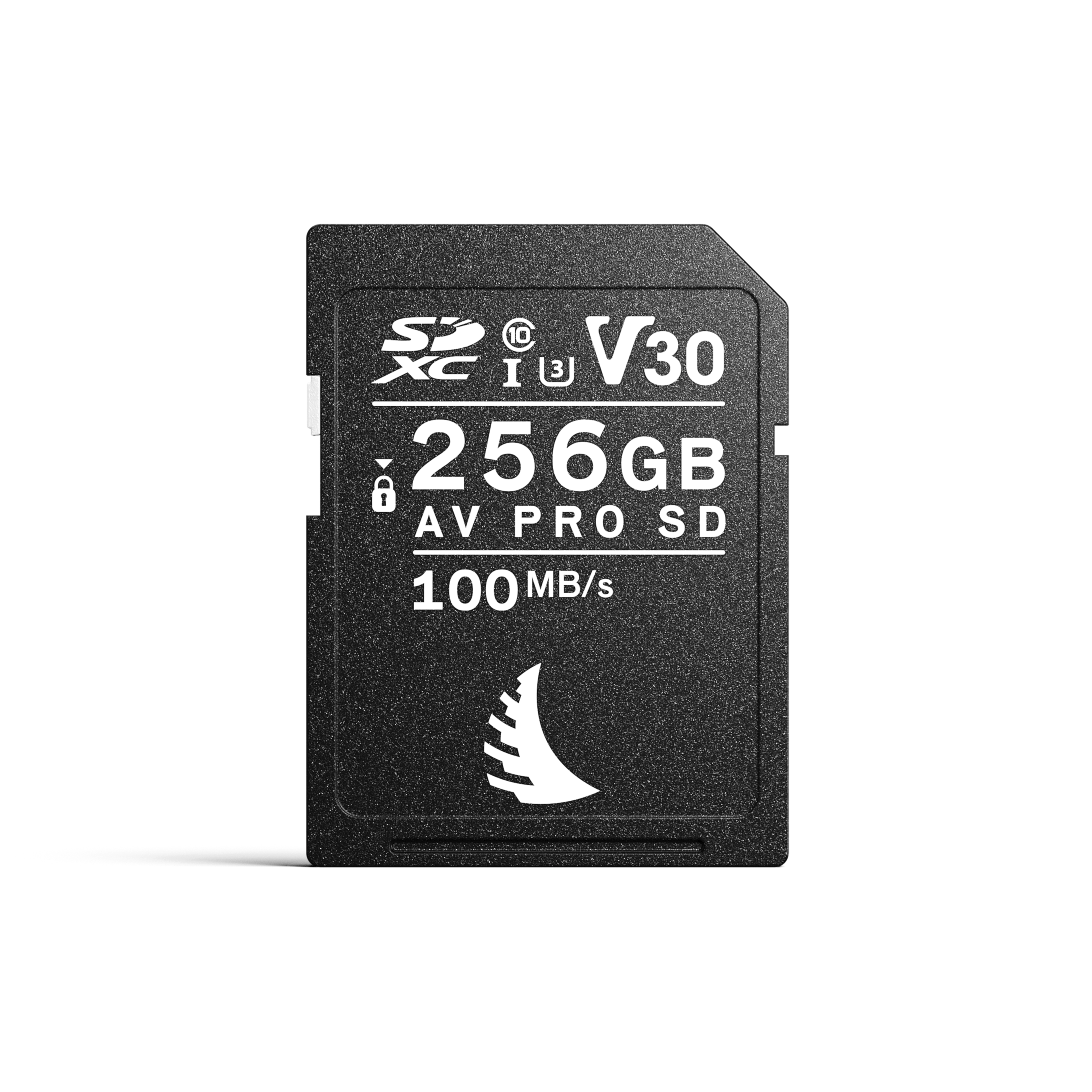 AV PRO SD V30 256GB