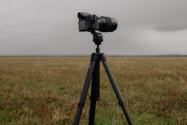 Pro Lite Tripod - Black