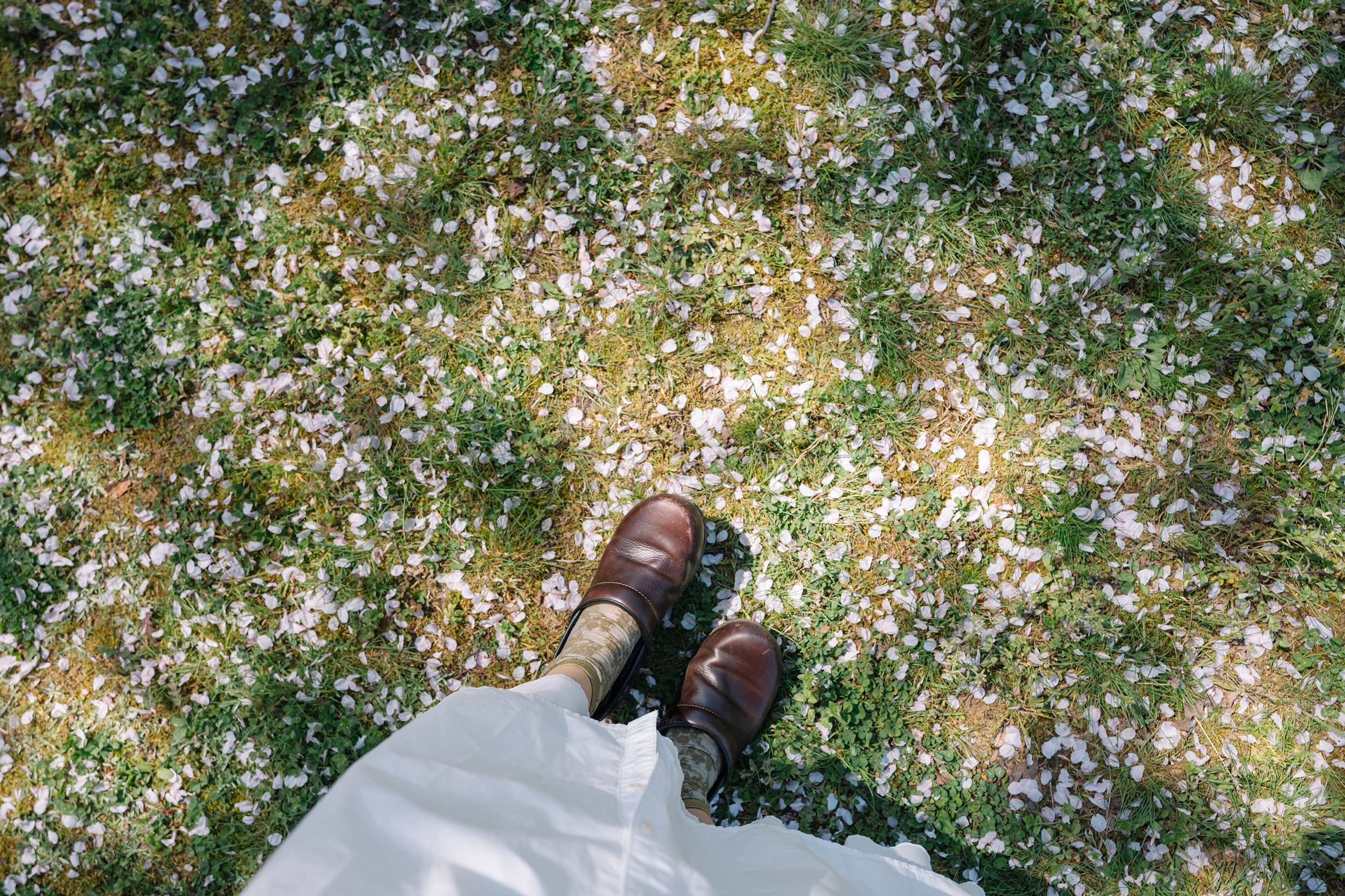 20-40mm F/2.8 Di III VXD - Nikon Z