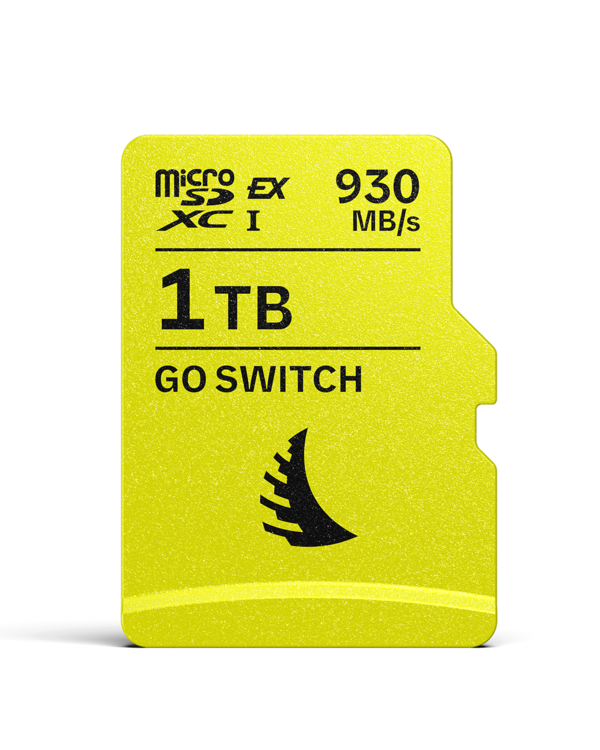 GO Switch MicroSD Express 1TB