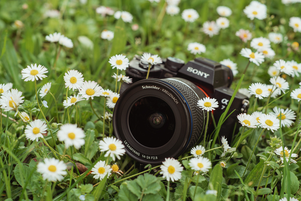 AF 14-24mm F2.8 Sony  E-Mount